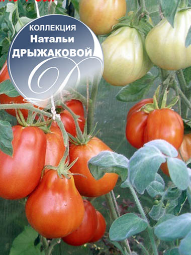 Семена от натальи Семена от натальи
