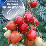 увеличить изображение