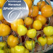 увеличить изображение