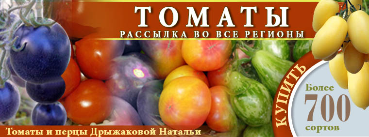 tomatoes2021